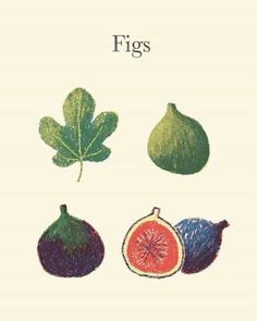 Figs Illustration, Cute Fruit Drawings, Fig Aesthetic, Fig Illustration, Fig Tattoo, Drawing Fruits, Fig Art, Fig Drawing, Seed Illustration