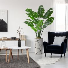 a living room filled with furniture and a large green plant in a vase on top of a table