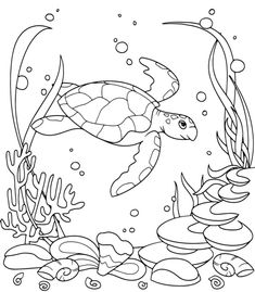 a sea turtle swimming in the ocean surrounded by corals and fish coloring book page