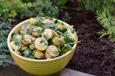 a yellow bowl filled with vegetables on top of a wooden table next to some plants