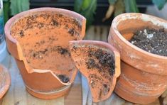 three clay potted plants with dirt on them