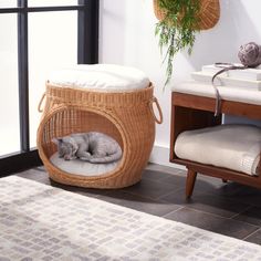 a cat sleeping in a basket on the floor next to a chair and table with a potted plant