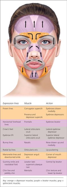 Botox Injection Sites Diagram, Botox Injection Sites, Injection Sites, Botox Injection, Aesthetic Nursing, Botox And Fillers, Massage Quotes, Nurse Injector, Botox Filler