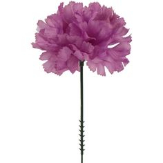 Add elegance with Elegant Lavender Silk Carnation Picks. Bulk pack of 100, featuring 3.5" carnation heads. Perfect for weddings, decorations, and DIY decor projects. Explore their beauty now! Purple Carnations, Lavender Silk, Dyi Projects, Purple Silk, Lavender Flowers, Diy Wedding Decorations, Real Flowers