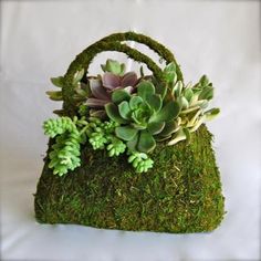 a moss covered purse with succulents in it sitting on a white surface