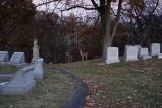 a cemetery with tombstones and trees in the background