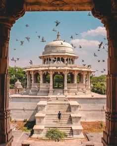 birds are flying around an ornate structure with steps and pillars in the foreground, surrounded by greenery