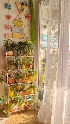 there is a shelf with many plants in it next to the windowsill and curtains