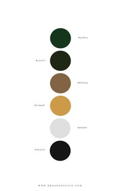 an image of the five colors in this poster