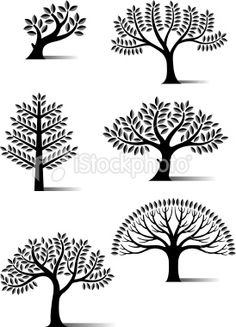 six different trees with leaves in black and white