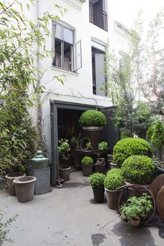 potted plants are lined up in front of a building with an open door on the second floor