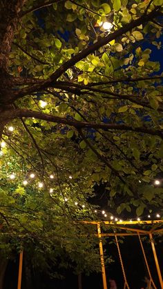 people are sitting on swings under the tree at night with lights hanging from it's branches