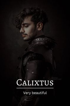 a man in armor with the words calixus very beautiful