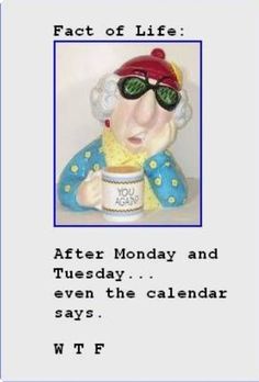 an old lady with sunglasses holding a coffee mug in front of the caption that says fact of life after monday and tuesday even the calendar says