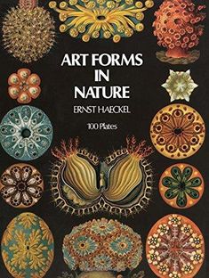 the cover of art forms in nature, with an image of many different shapes and sizes