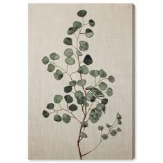 a plant with green leaves on a white background canvas wall art print, ready to hang