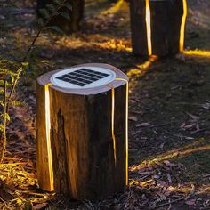 there are two wooden stumps that have solar panels on them