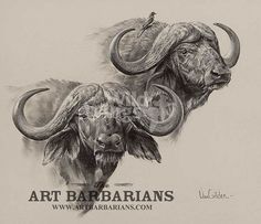 two bulls with long horns are depicted in this drawing by art barbarins '