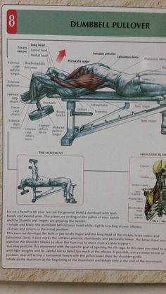 a sign showing the different parts of a dumbbell pullover machine and how to use it