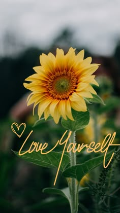 a yellow sunflower with the words love yourself written in cursive writing on it