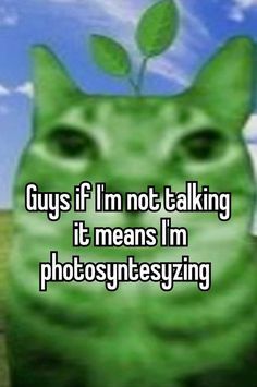 a green cat with the words guys if i'm not talking it means i'm