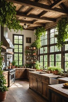 a kitchen filled with lots of plants and wooden cabinets next to large window covered in potted plants