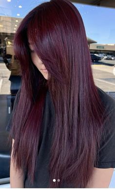 Hair Color Plum Burgundy, Dark Red Plum Hair, Purple Red Dark Hair, Dark Cherry Plum Hair, Plum Hair Olive Skin, Subtle Cherry Red Hair, Deep Purple Red Hair, Dark Violet Hair Burgundy, Red Violet Brown Hair