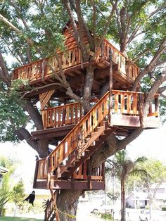 a tree house built into the side of a large tree