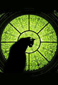 a cat sitting in front of a stained glass window