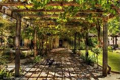 an outdoor covered walkway with lots of plants