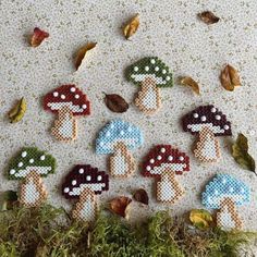 cross stitch mushrooms are arranged on the ground