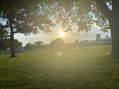 the sun is shining through some trees in a park