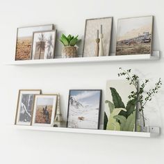 some white shelves with pictures and plants on them