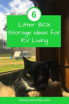 a black and white cat laying on top of a bed with the title 6 litter box storage ideas for rv living