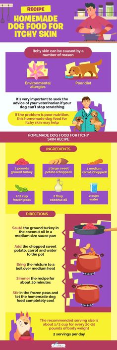 an info sheet showing the different types of food and drinks in each region, including hotdogs