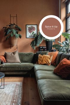 a living room filled with furniture and plants