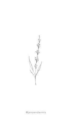 a black and white drawing of a plant