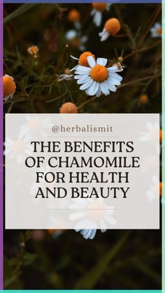 flowers with the words, the benefits of chamomile for health and beauty