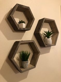 three wooden hexagonal shelves holding plants and potted plants on the wall above them