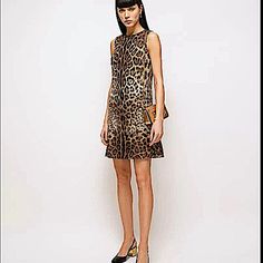 Dolce&Gabbana Dress In Leopard Print. Round Neckline. Sleeveless. Shift Silhouette. Above Knee Length. Back Zip. Silk/Spandex. Polyester Lining. Dry Clean. Made In Italy. Luxury Silk Sleeveless Dress, Luxury Black Sleeveless Mini Dress, Luxury Black Sleeveless Dress, Luxury Sleeveless Silk Mini Dress, Luxury Silk Sleeveless Mini Dress, Sleeveless Leopard Print Evening Dress, Elegant Silk Leopard Print Dresses, Chic Sleeveless Leopard Print Dress, Sleeveless Silk Brown Dress