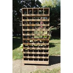 a tall wooden pallet filled with lots of plants