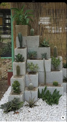 several cement blocks are stacked with succulents and cacti