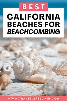 Want to go beachcombing in California? This guide covers all of the best beachcombing beaches where you’re guaranteed to find interesting seashells, sea glass, sand dollars and more. If you love shelling in California then this guide is perfect. Best Seashell Beaches In California, California Sea Shells, Shell Beach California, Best California Beaches, Beaches In California, Cali Beach, Crystal Cove State Park, Moonstone Beach, California Beaches