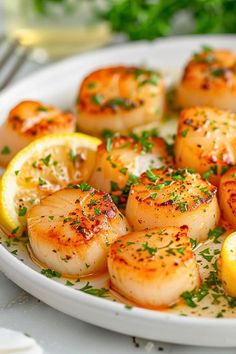 scallops with lemon and parsley on a white plate