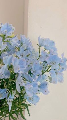 blue flowers are in a glass vase on a table next to a white wall and window