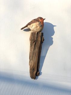 a small bird perched on top of a piece of driftwood next to a white wall