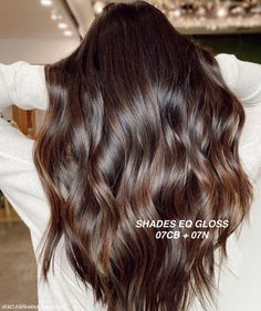 Summer Brown Hair, Rich Brunette Hair, Hair Glaze, Fall Blonde Hair, Hair Gloss