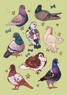 a bunch of birds that are standing in the air with hearts and stars around them