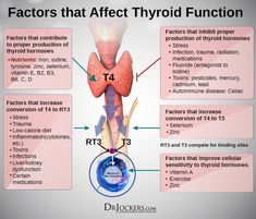 Tomato Nutrition, Fruit Health Benefits, Lemon Benefits, Coconut Health Benefits, Stomach Ulcers, Thyroid Function, Benefits Of Coconut Oil, Thyroid Hormone