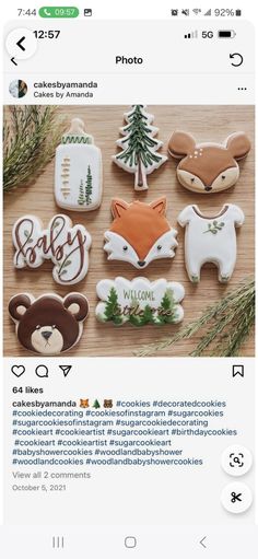 an instagram page with cookies decorated to look like animals, bears and deers